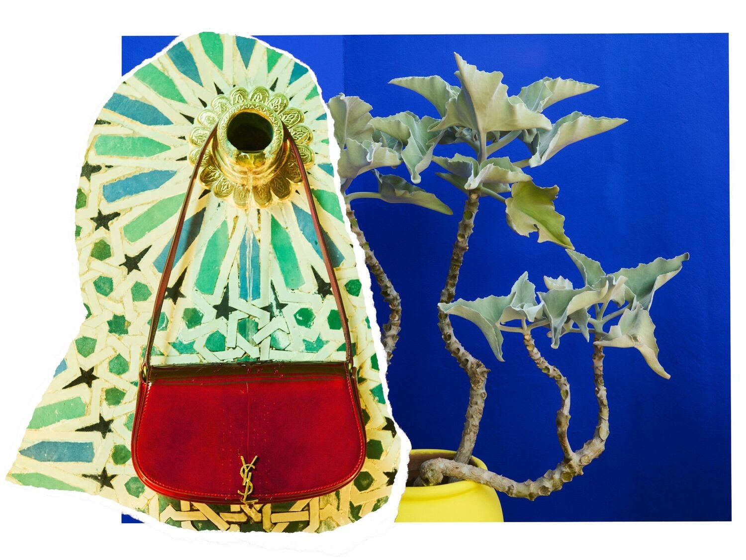 Women Campaign > Winter 25 > Single 5